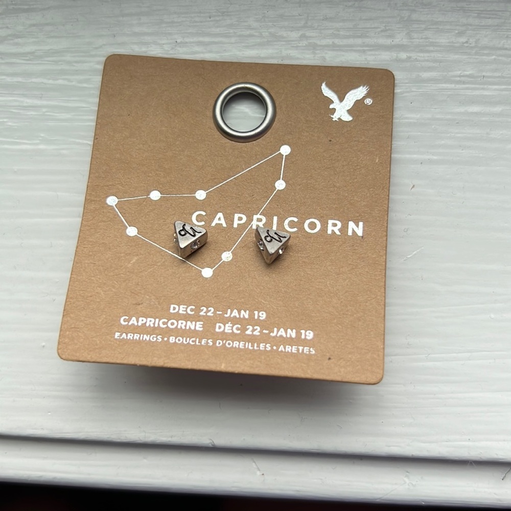 Capricorn Earrings